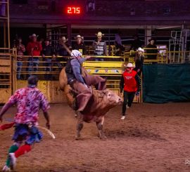 HALA - Bull Riding - Ranch 13 FINÁLE (foto Kristína Grúliková a Janka Grúliková