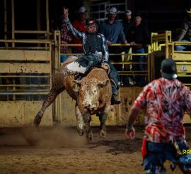 HALA - BULL RIDING - Ranch 13 FINÁLE (foto Nika Fáfiková)