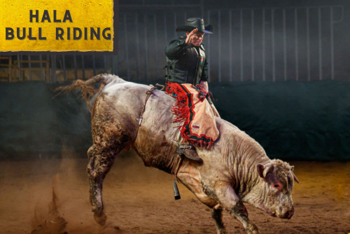 Bull Riding