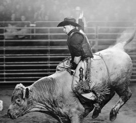 HALA - Bull Riding-Ranch13 FINÁLE (foto Roman Holy)